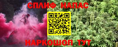 прущие грибы Тара