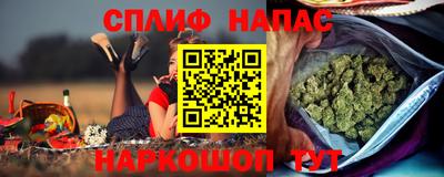 индика Тула